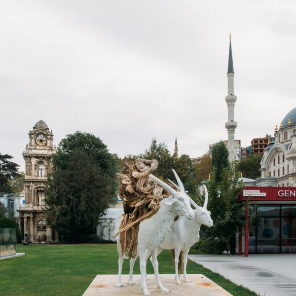 Galata, Karaköy ve Tophane Turu